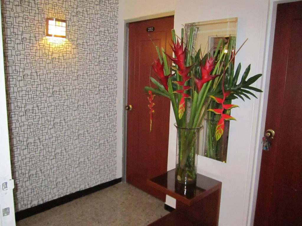 Martin Aparta Suite