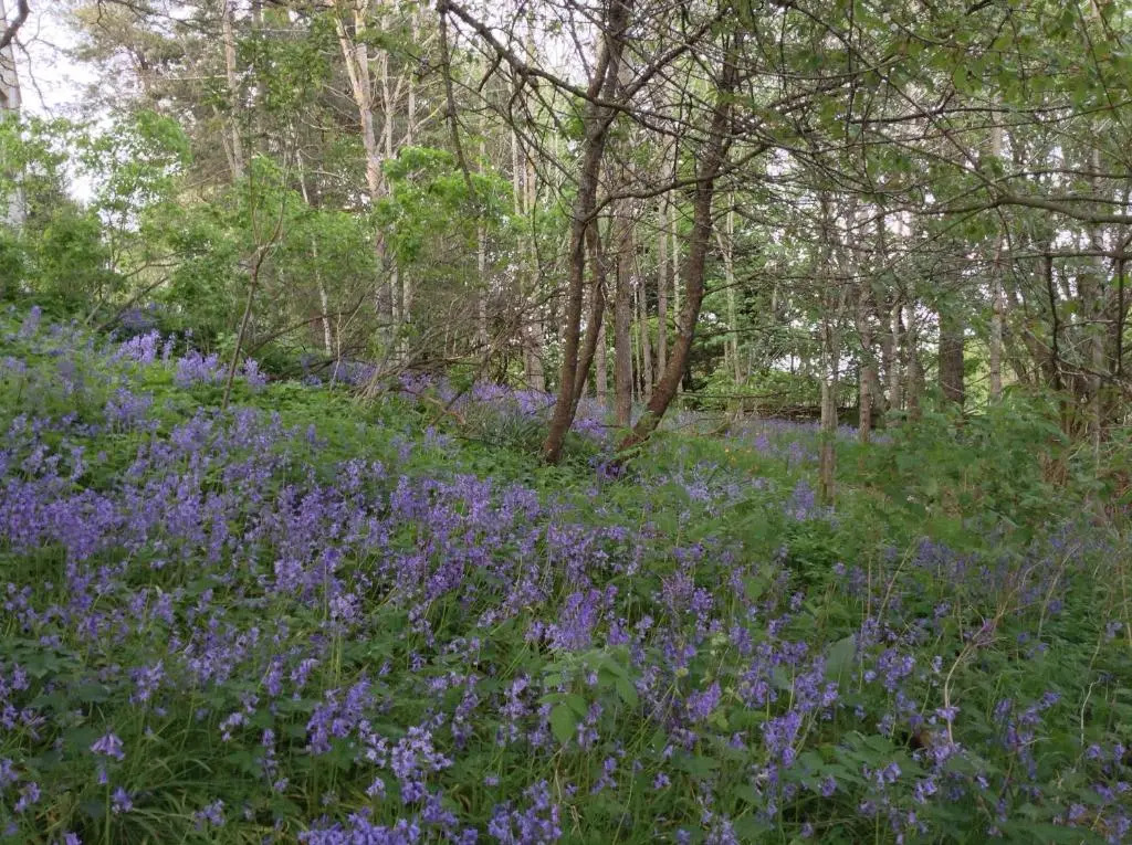 Dower House Newtonmore