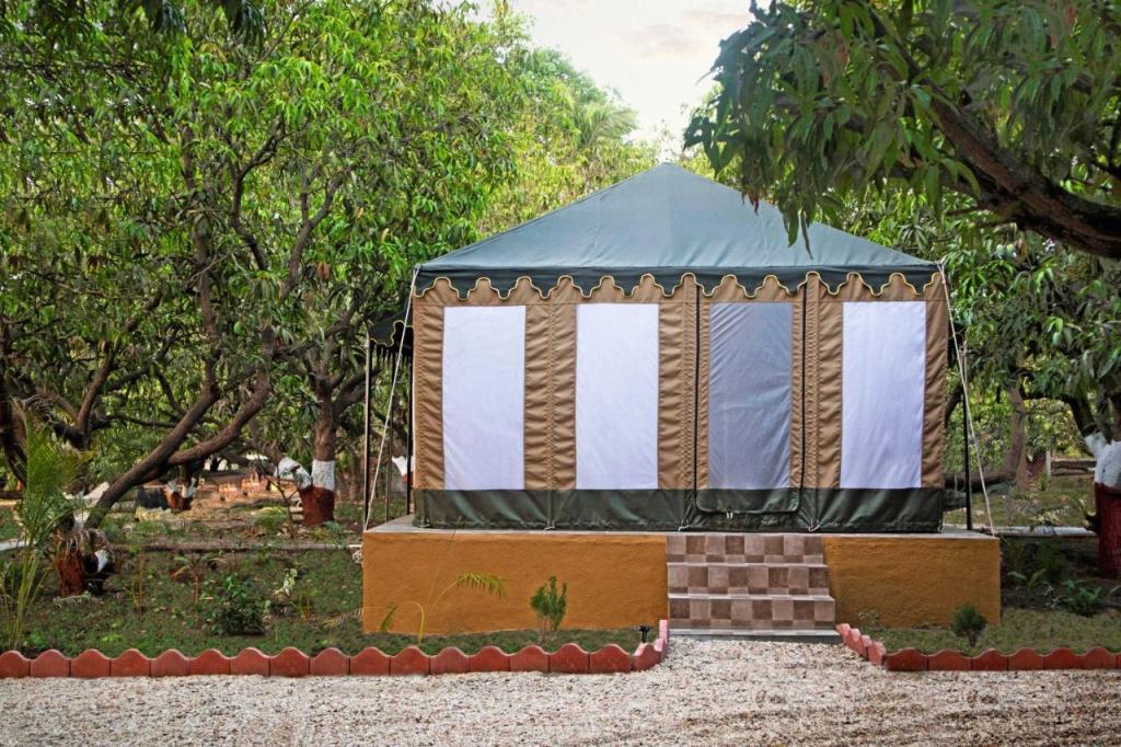 Gir Lion Safari Camp