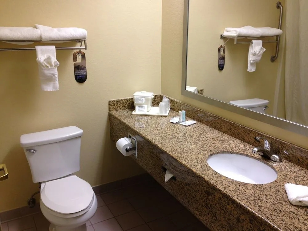 Comfort Inn West