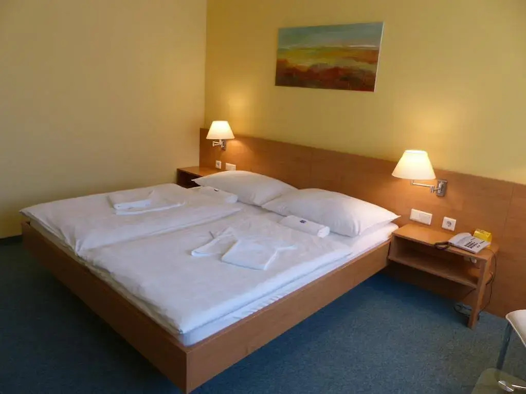 Hotel Vicedom