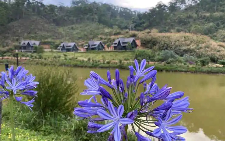 Lat Valley Retreat Village