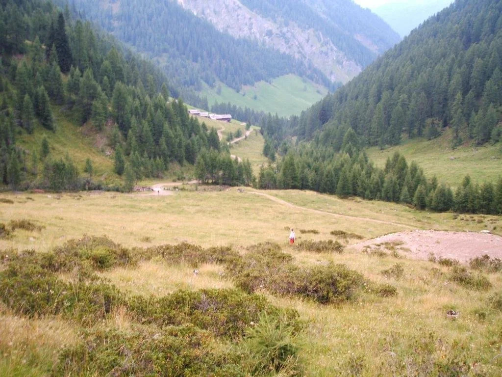 Ferienwohnungen am Berg - Almhütte Alfen