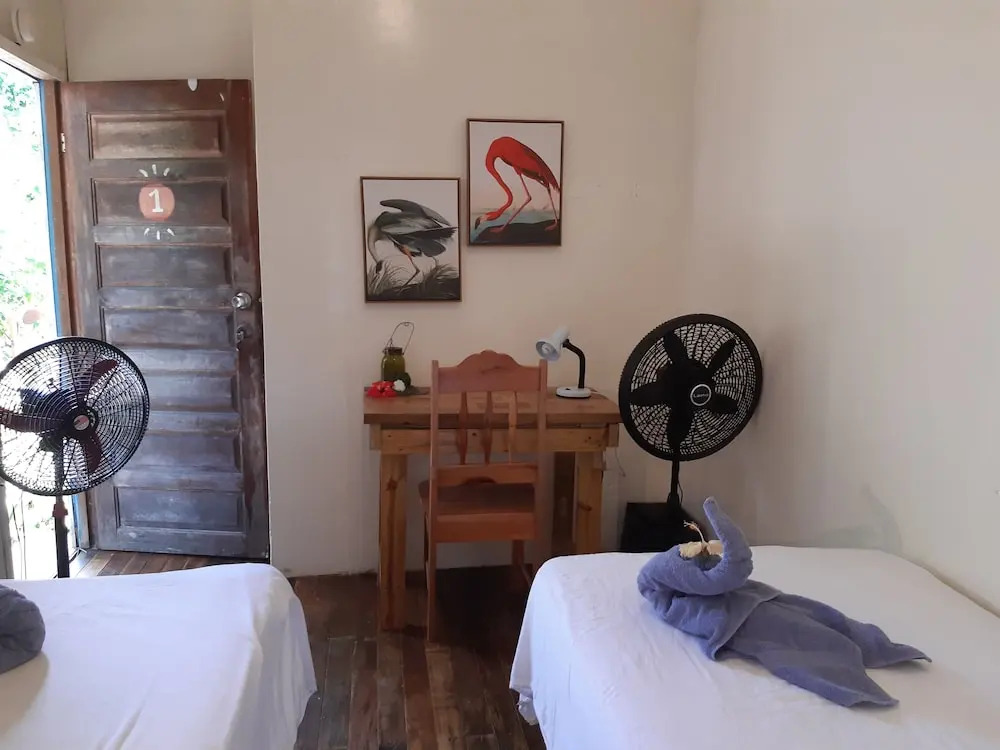 The Funky Dodo Backpackers Hostel