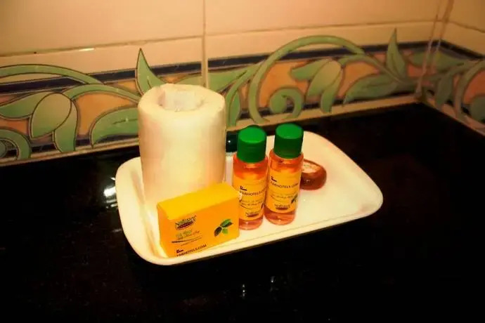 Fabhotel Blue Shivalik