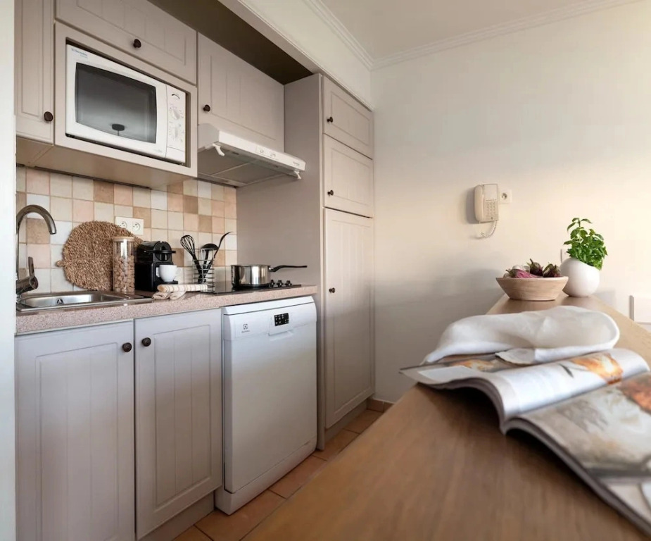 Beautiful French Riviera Apartment for 6