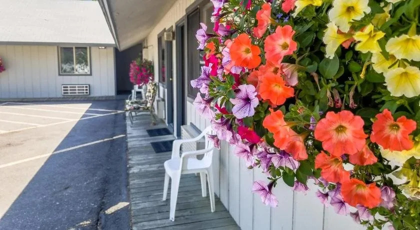 Alpine Motel