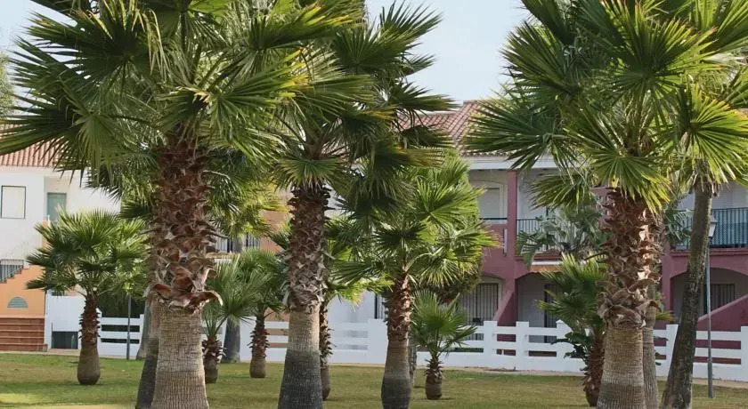 Duplex La Barrosa