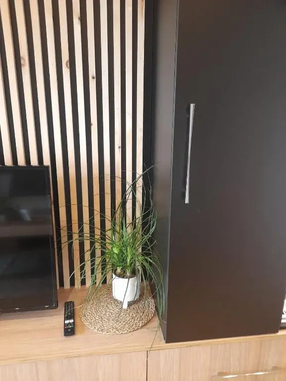 Relaxing Luxury Suite
