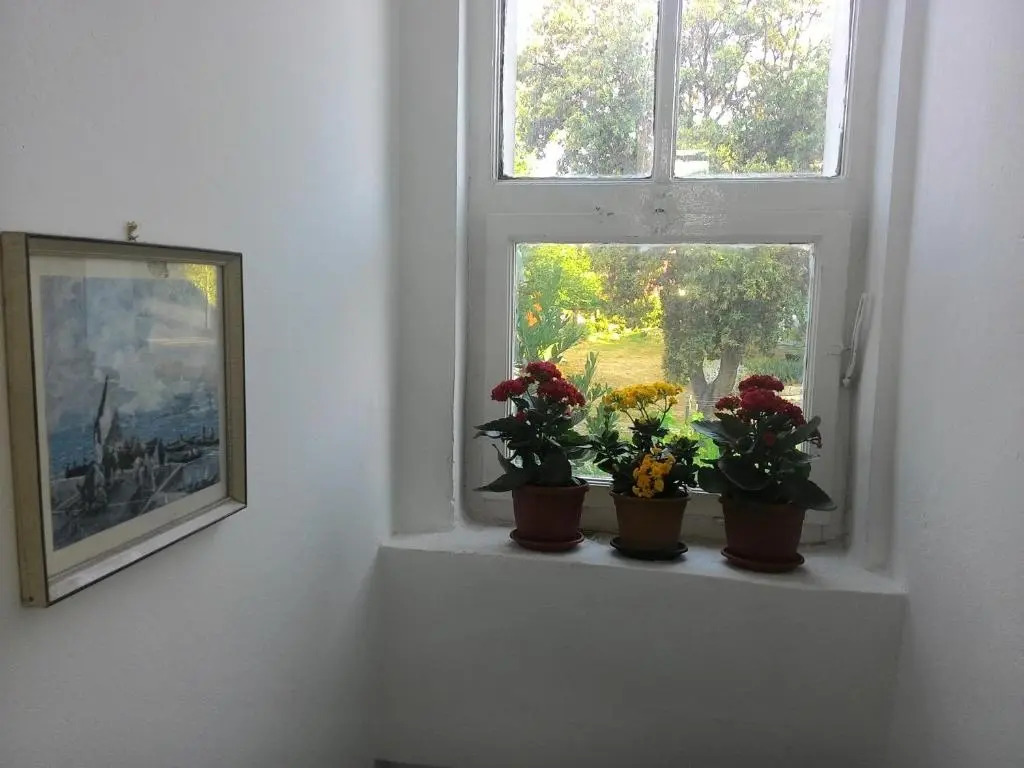 Apartments Prisnac