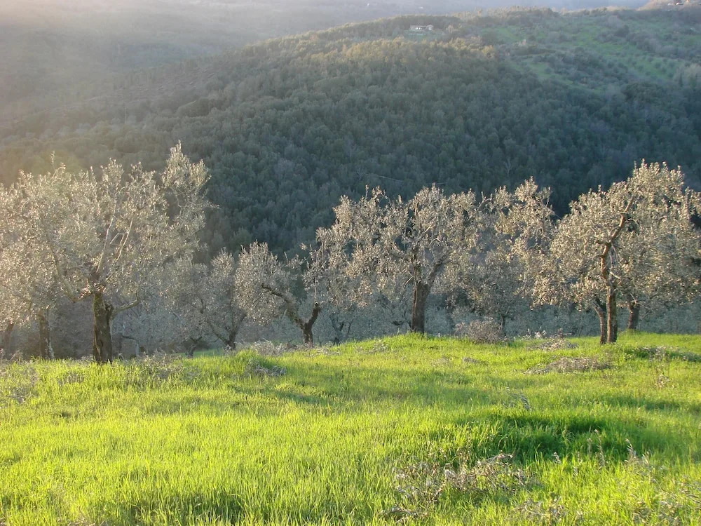 Agriturismo Pereti