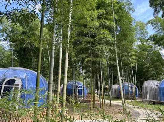 Wild Wind Starry Sky Bubble House Hotel