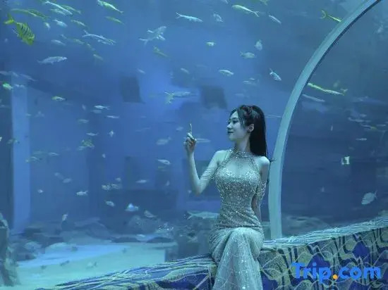 Dali Manju Ocean Hotel