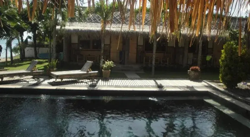 Coral Palms