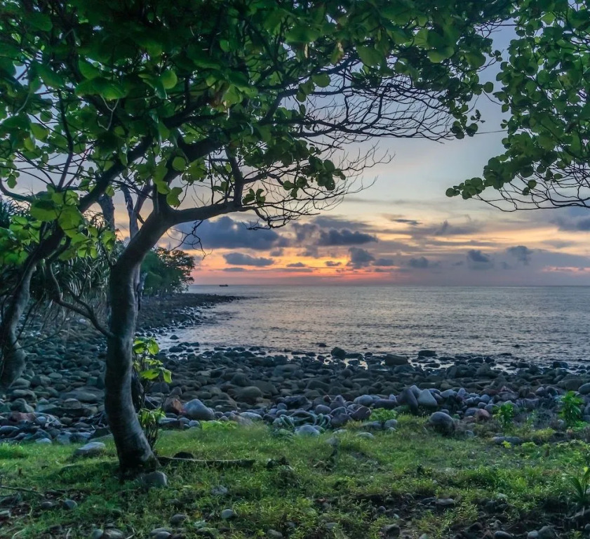 Driftwood Hostel and Bungalows