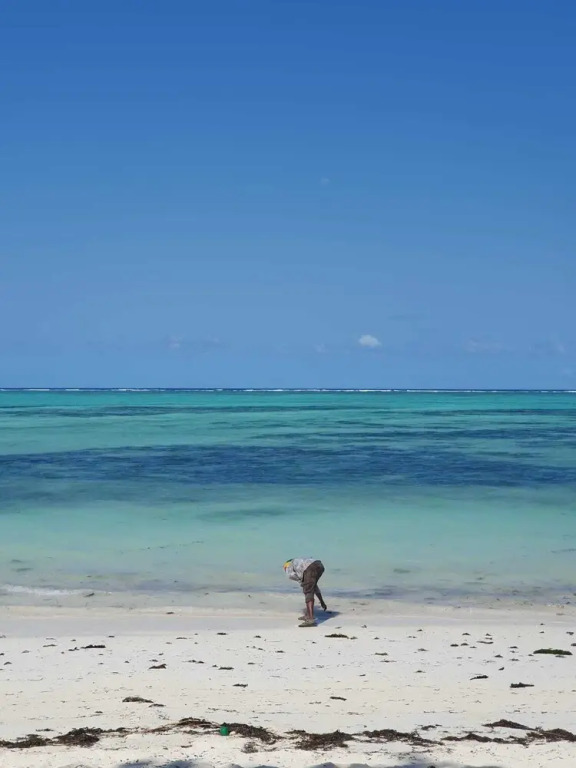 Jambiani Holiday Villa