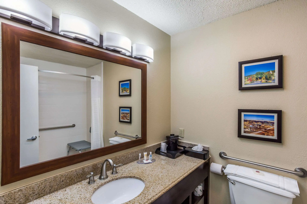 Comfort Inn Charleston South