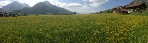 Ferienhaus in der Sonne