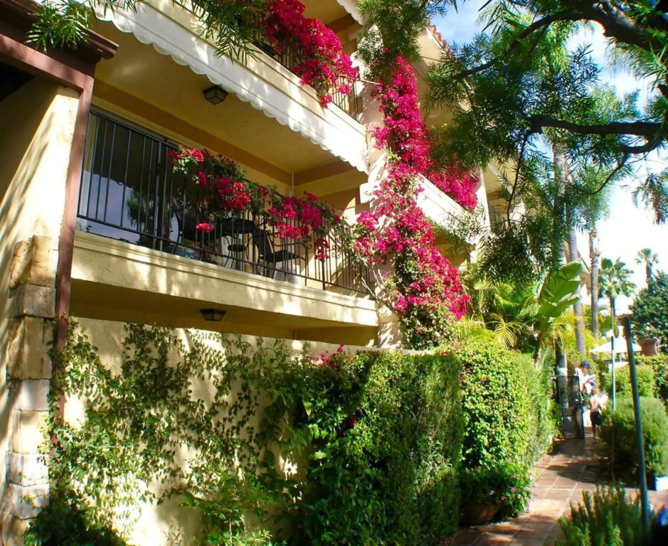 Hotel Pepper Tree Boutique Kitchen Studios - Anaheim