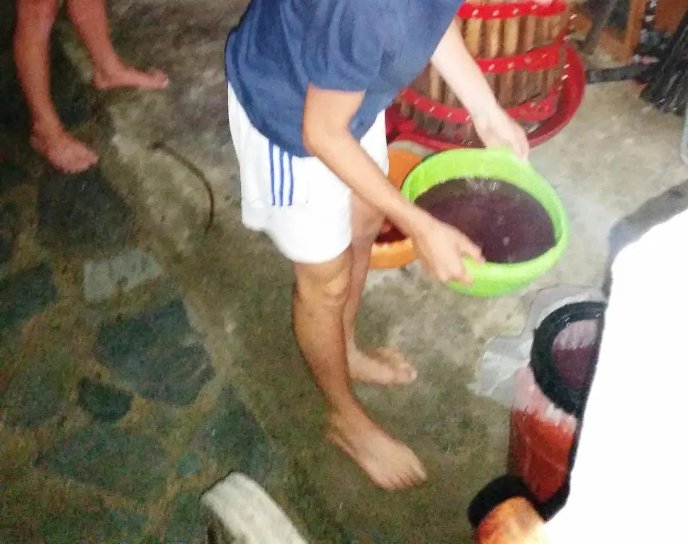 Alexandra Homestay