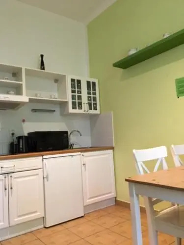 Penthouse Apartment in Vinohrady