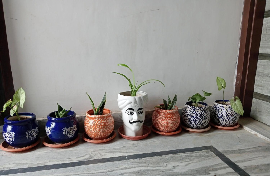 Jaipur Marigold Homestay