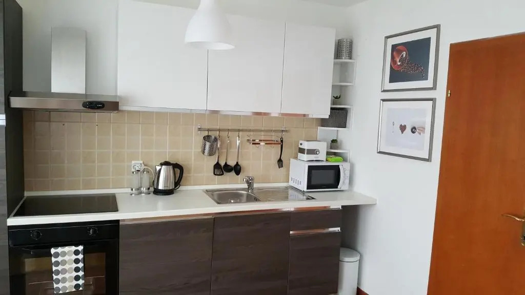 Apartment Roko