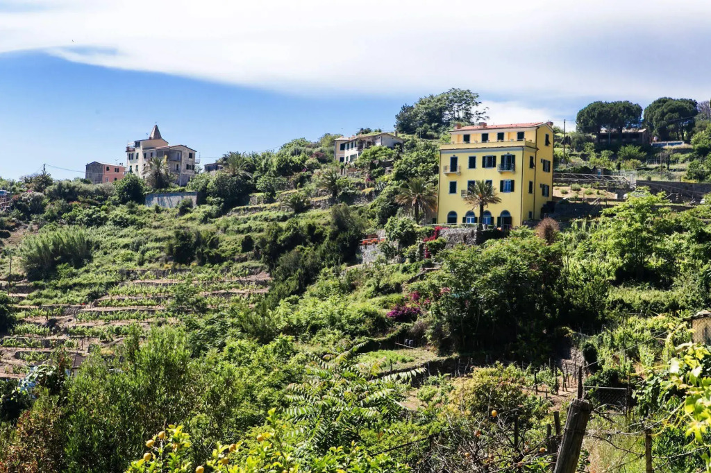 La Coccinelle - Superb Views