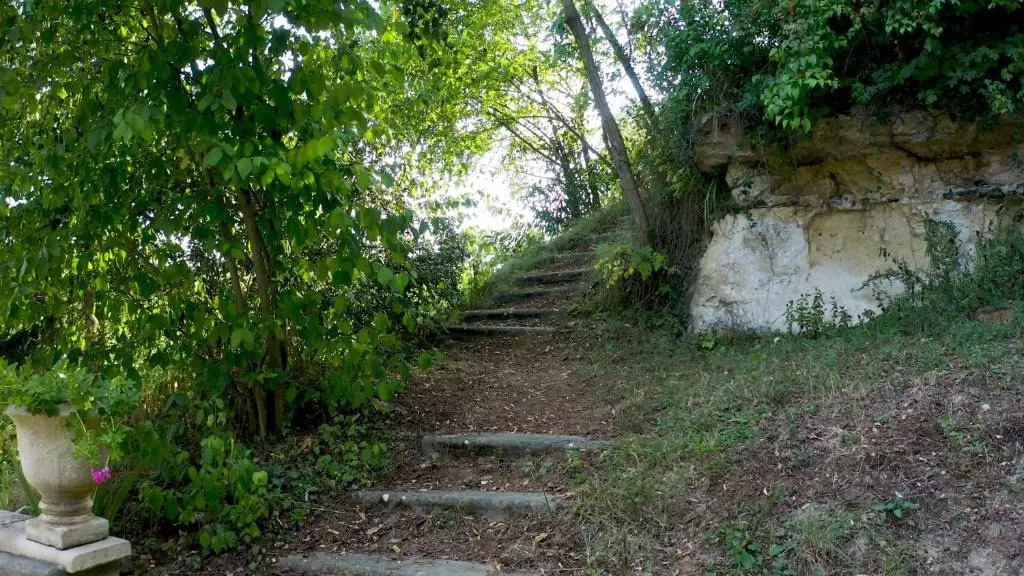 La Roche Bellevue