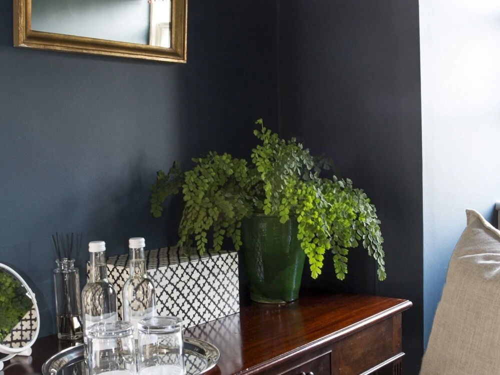 The Salutation