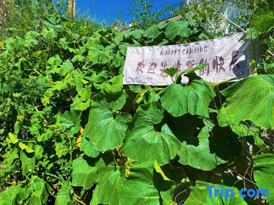 Narati opened the door Jianshan Residential English