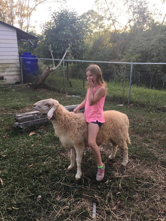 Our Eco Farm
