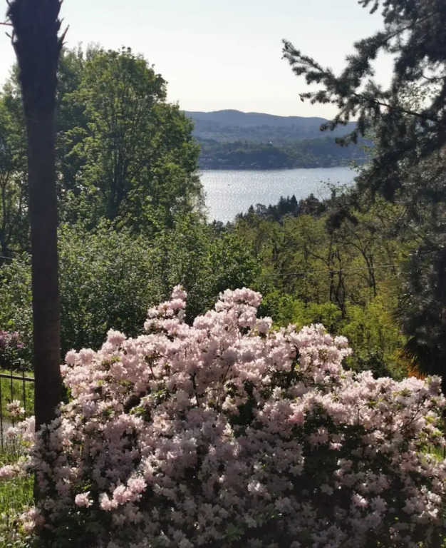 Swanlake B&B