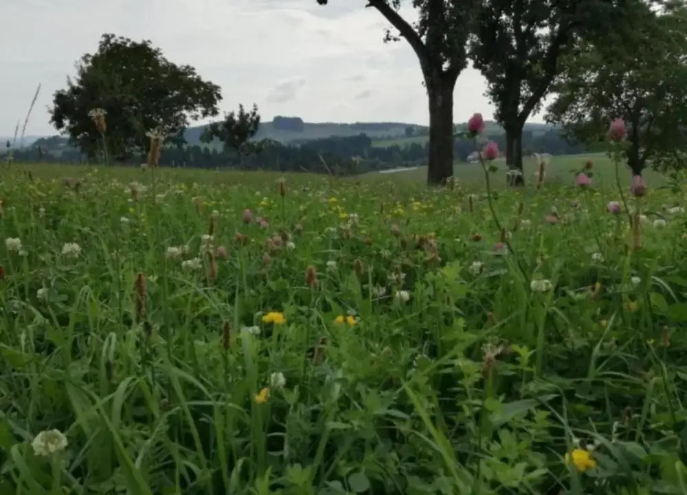 Holiday home in the Thuringian Forest