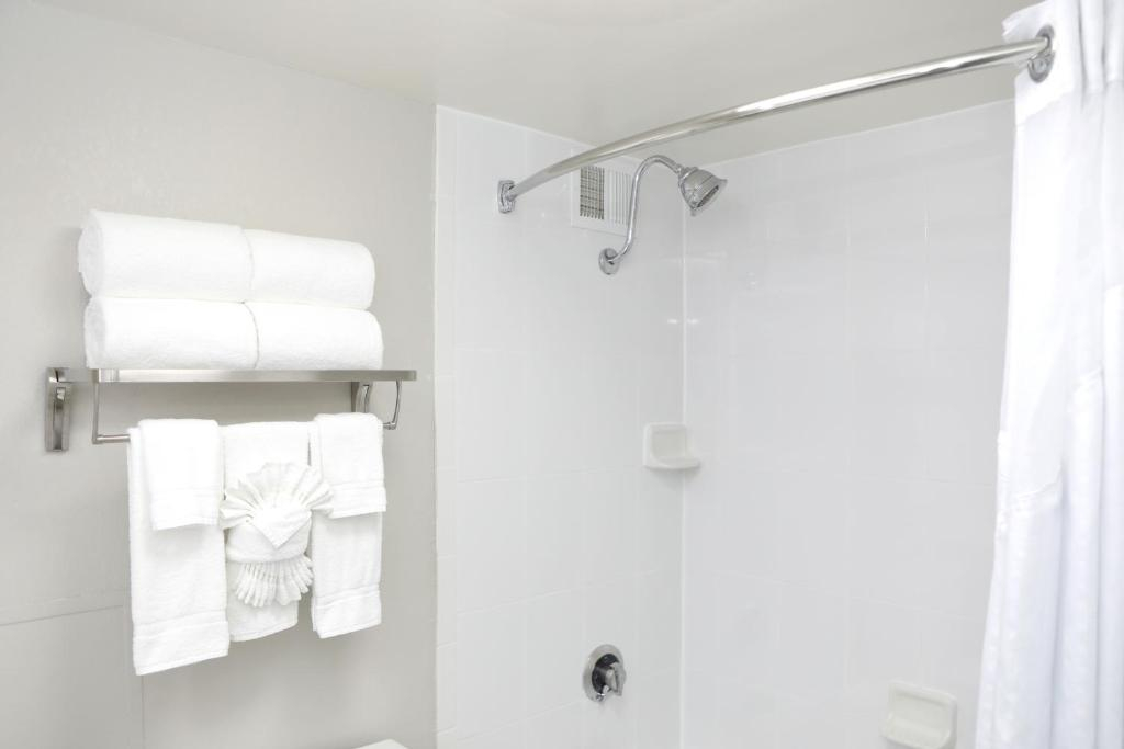 Holiday Inn OHare Area by IHG