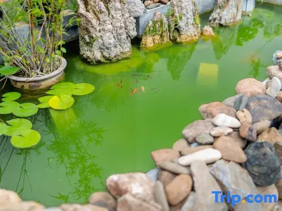 Jingdezhen Niulan Ceramic Homestay (China Ceramics Museum & Ancient Kiln)