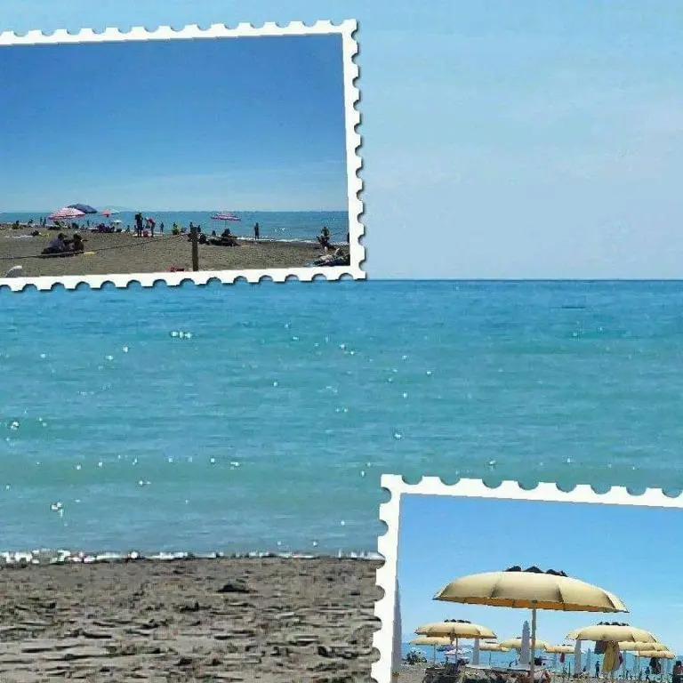 Agriturismo Greppo Allolivo