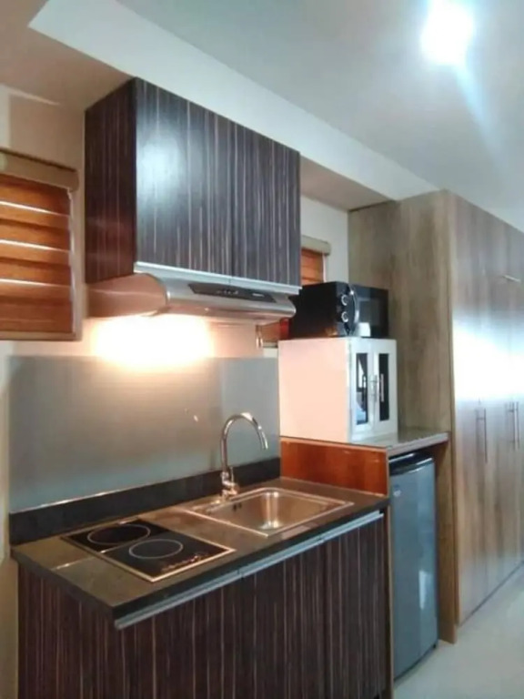 Stunning Studio Type - 1641 - 16th Flr Persimmon