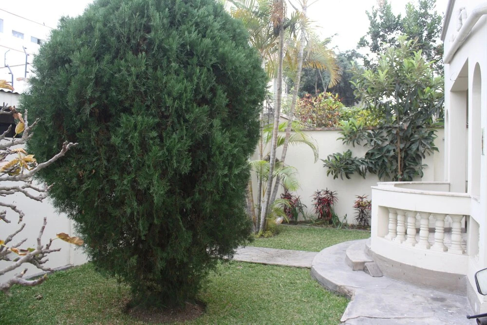 Passion Hostel - Barranco