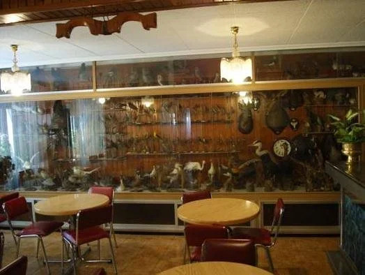 Hostal Pirineos Meliz