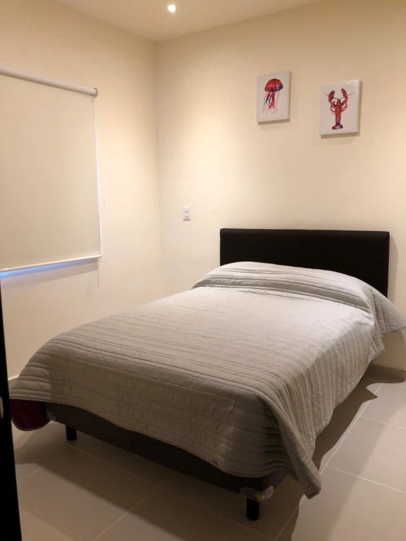 Suite Selvanova