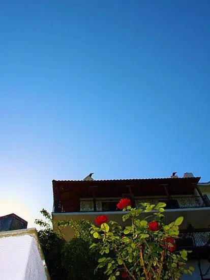 Guesthouse Rousis