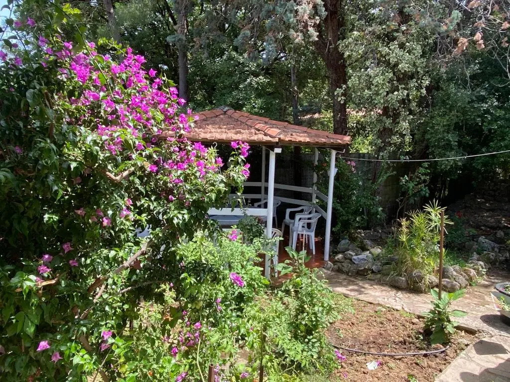 Villetta con piscina 10 posti letto Scario