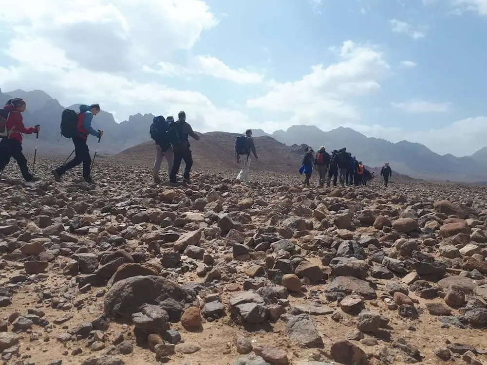 Bedouin Life Experience