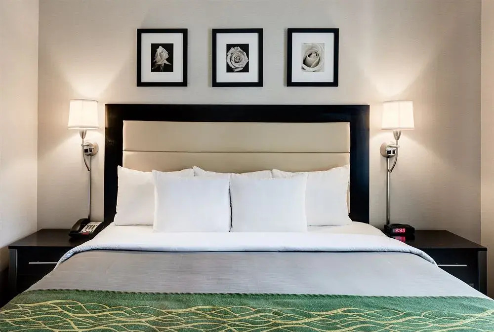 Artel Hotel by The Red Collection Times Square