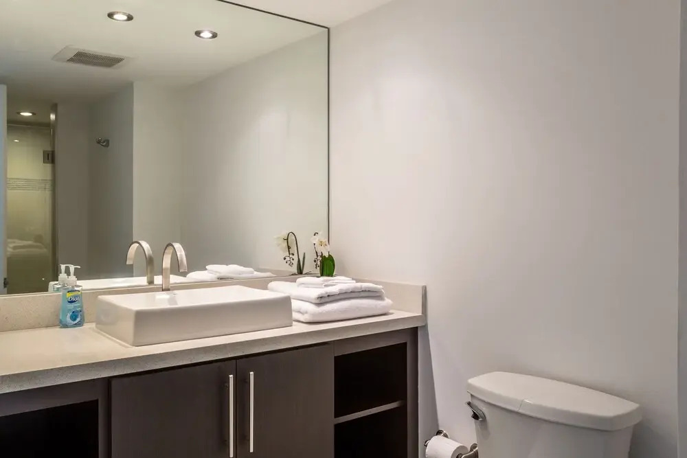 2 Bedroom Pearl in Downtown Miami