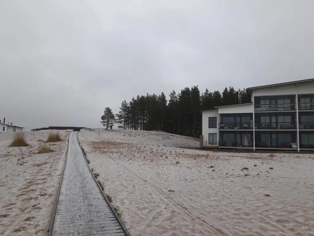 Meritähti 205