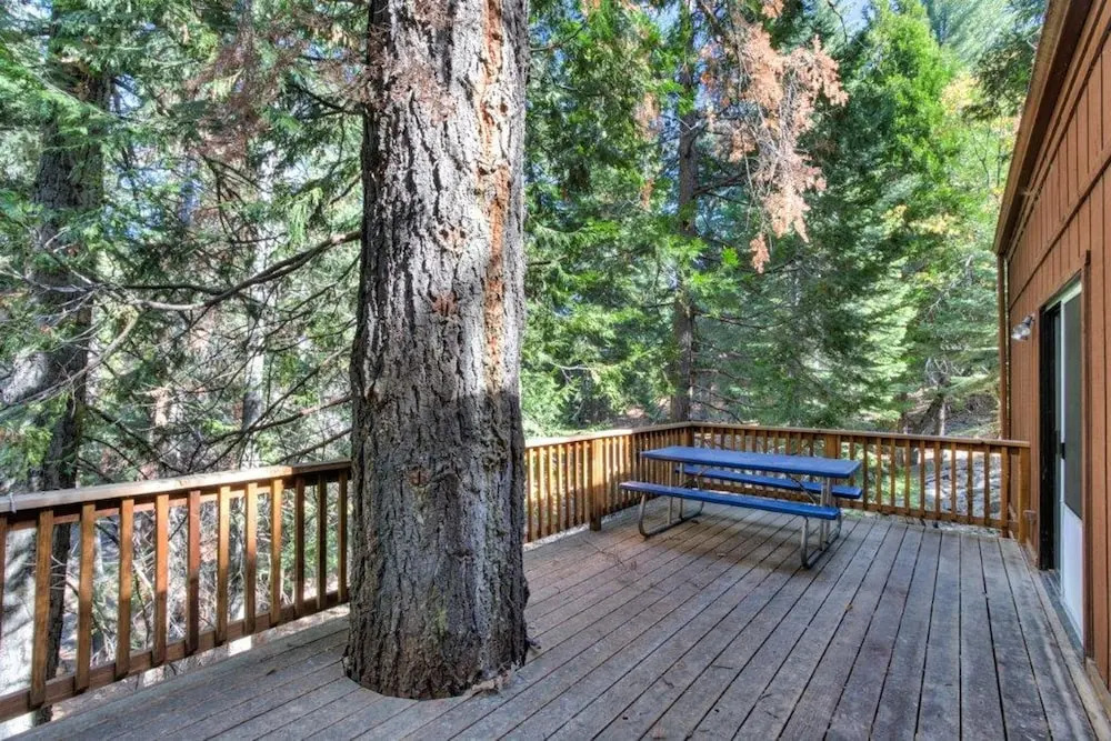Forest Glen-yw