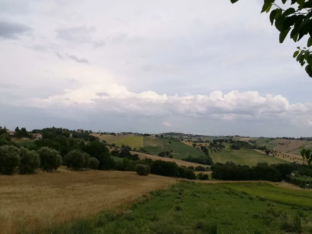 Marche B&B