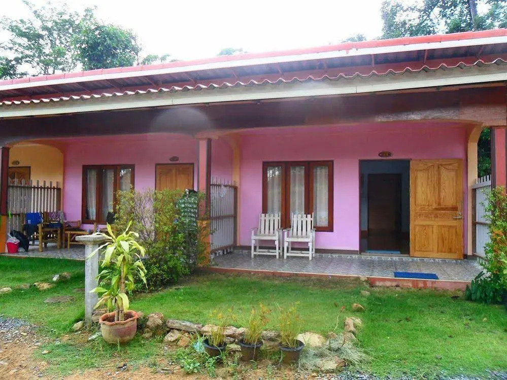 Saipali Jungle Views